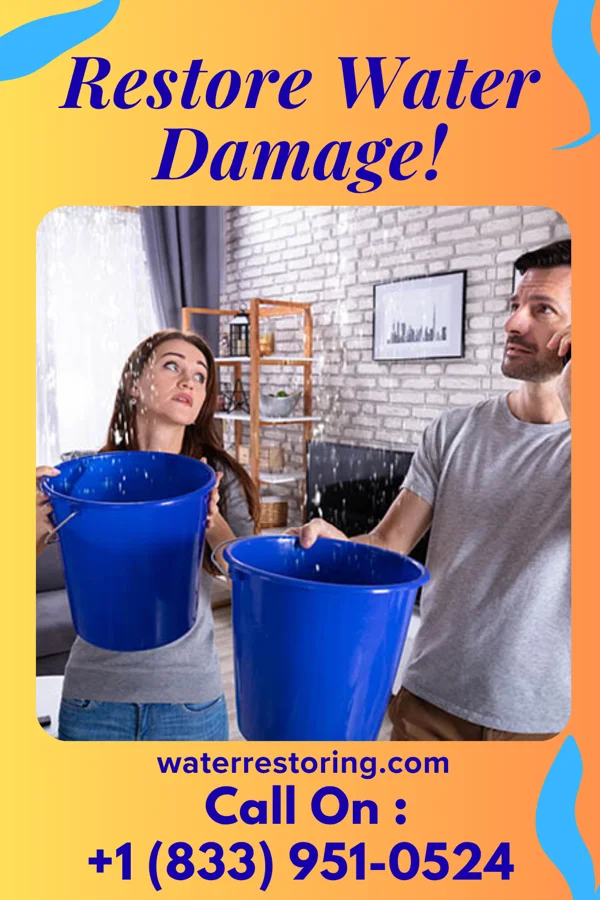 water restoration Coastal Recovery Team Burbank
