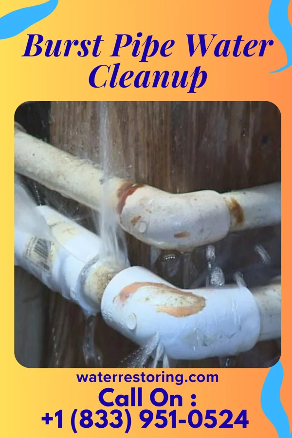 Burst Pipe Water Cleanup in Burbank, OH