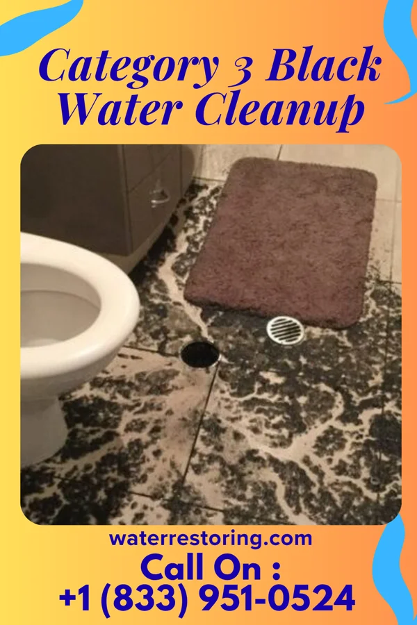 Category 3 Black Water Cleanup in Burbank, OH