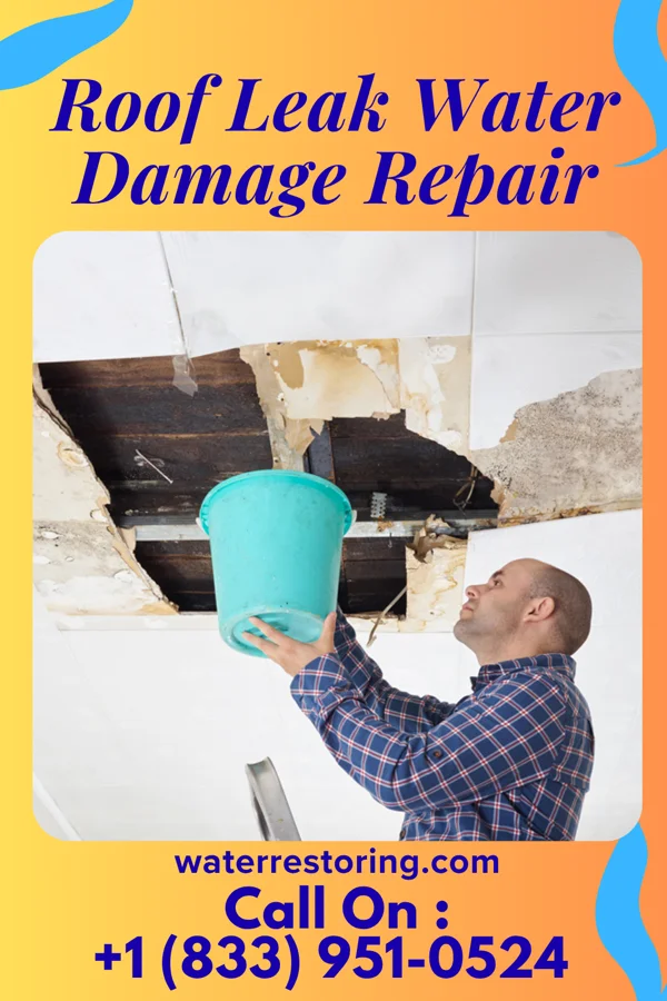 Roof Leak Water Damage Repair in Burbank, OH