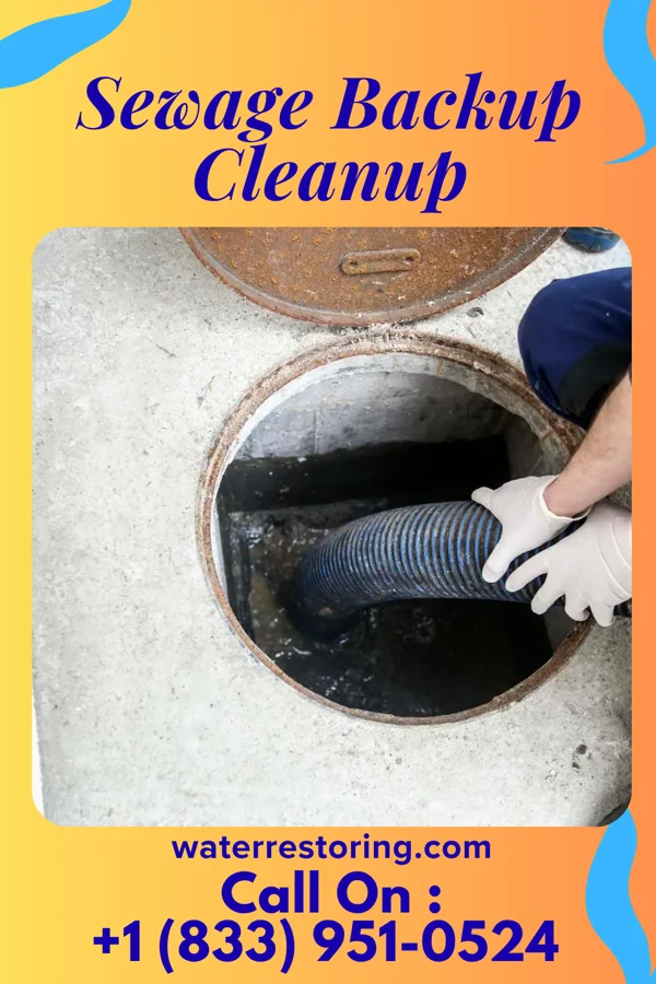 Sewage Backup Cleanup in Burbank, OH