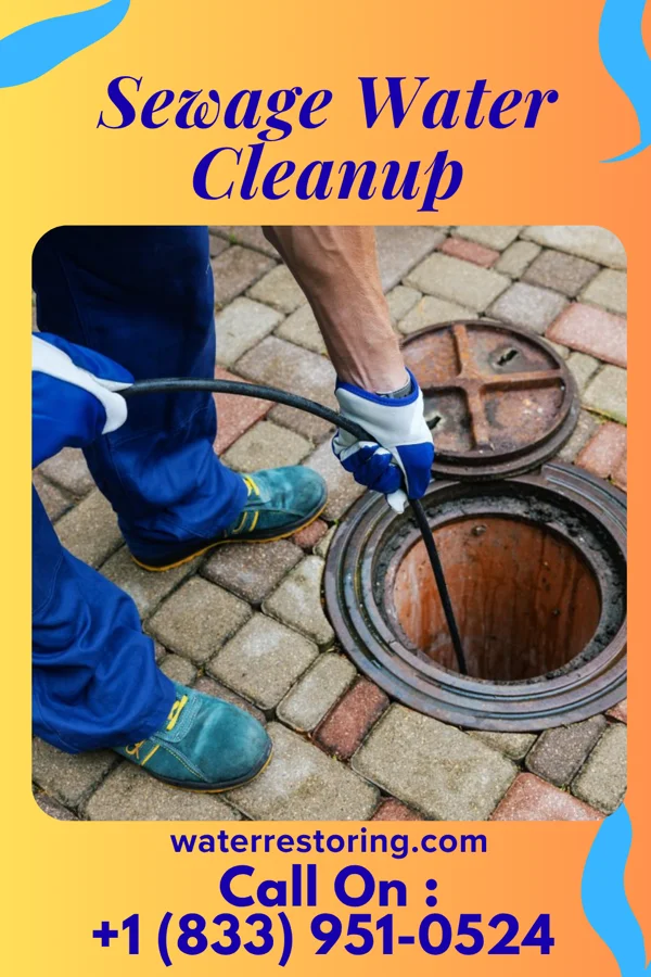 Sewage Water Cleanup in Burbank, OH
